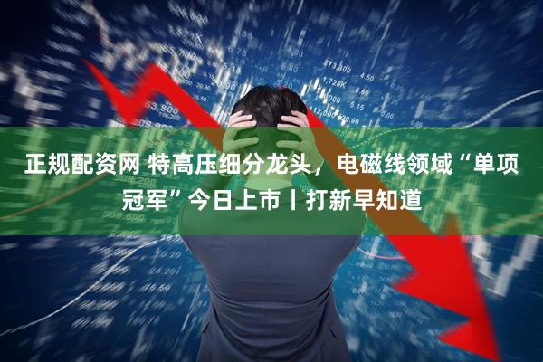 正规配资网 特高压细分龙头，电磁线领域“单项冠军”今日上市丨打新早知道